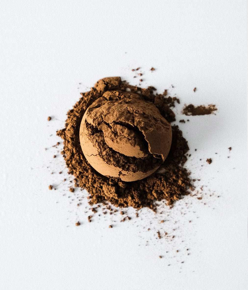 HOJICHA 001 - Le nouveau matin