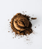 HOJICHA 001 - Le nouveau matin