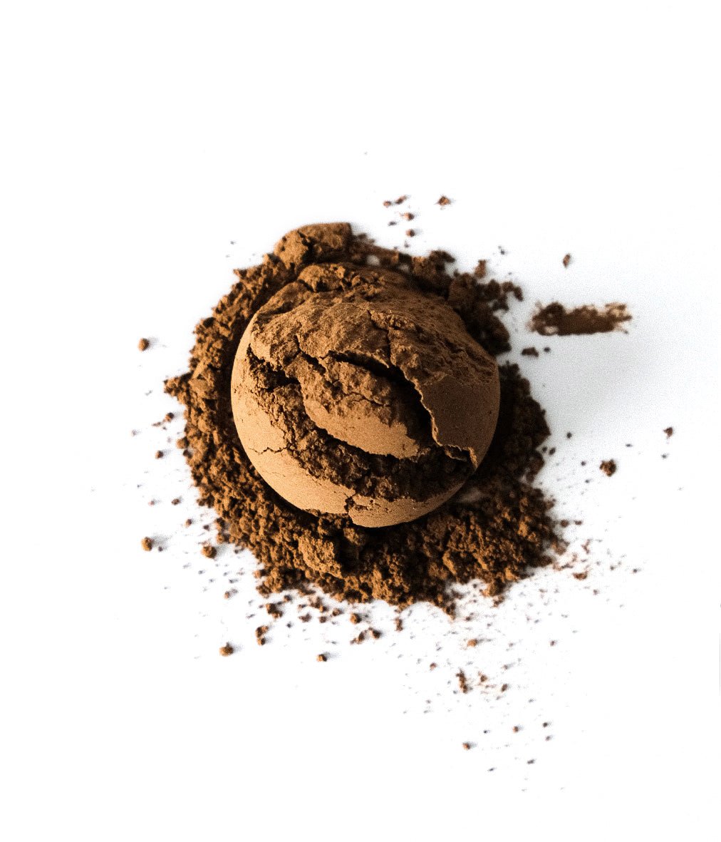 HOJICHA 001 - Le nouveau matin