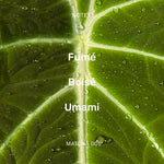 MATCHA 005 - Le nouveau matin