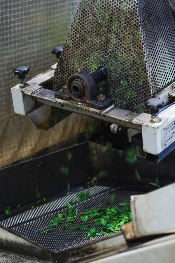 PRODUCTION DU TENCHA